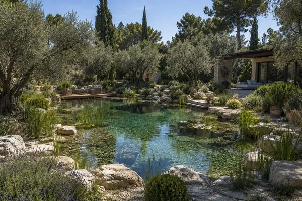 Natural Pool — Babylon Landscape Architecture